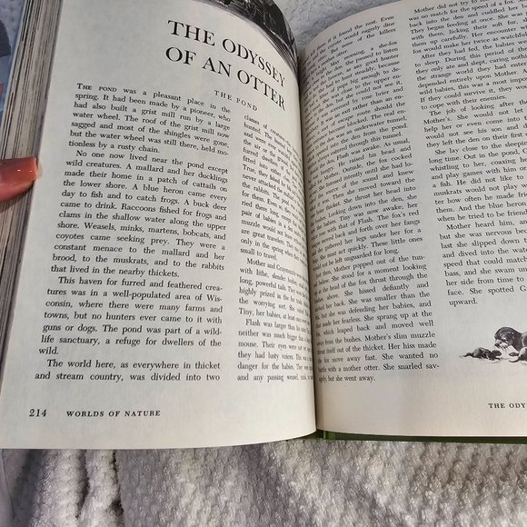 1965 Vintage Golden Press Walt Disney's World of Nature - Picture 7 of 9